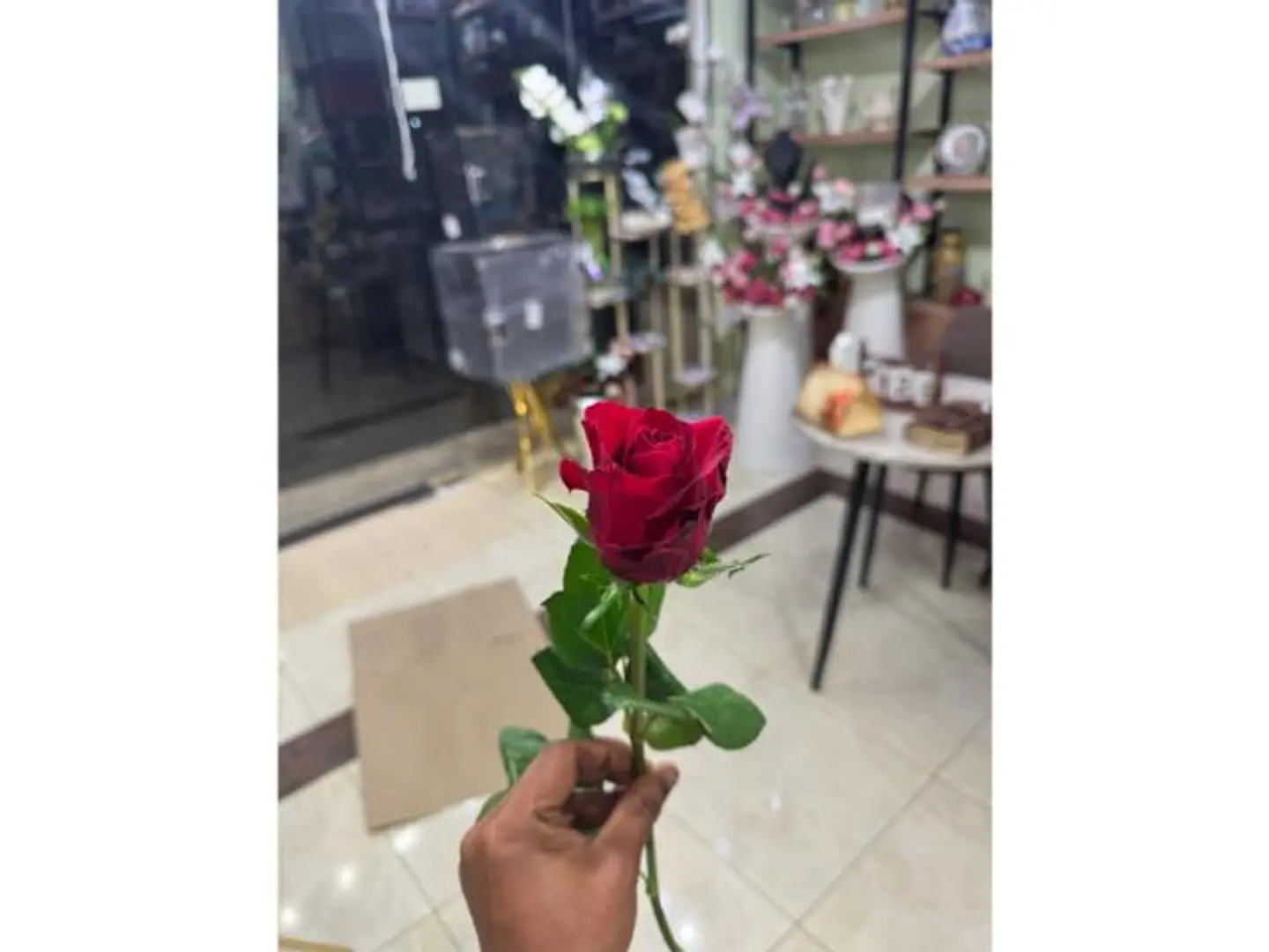 وردة جوري حمراء