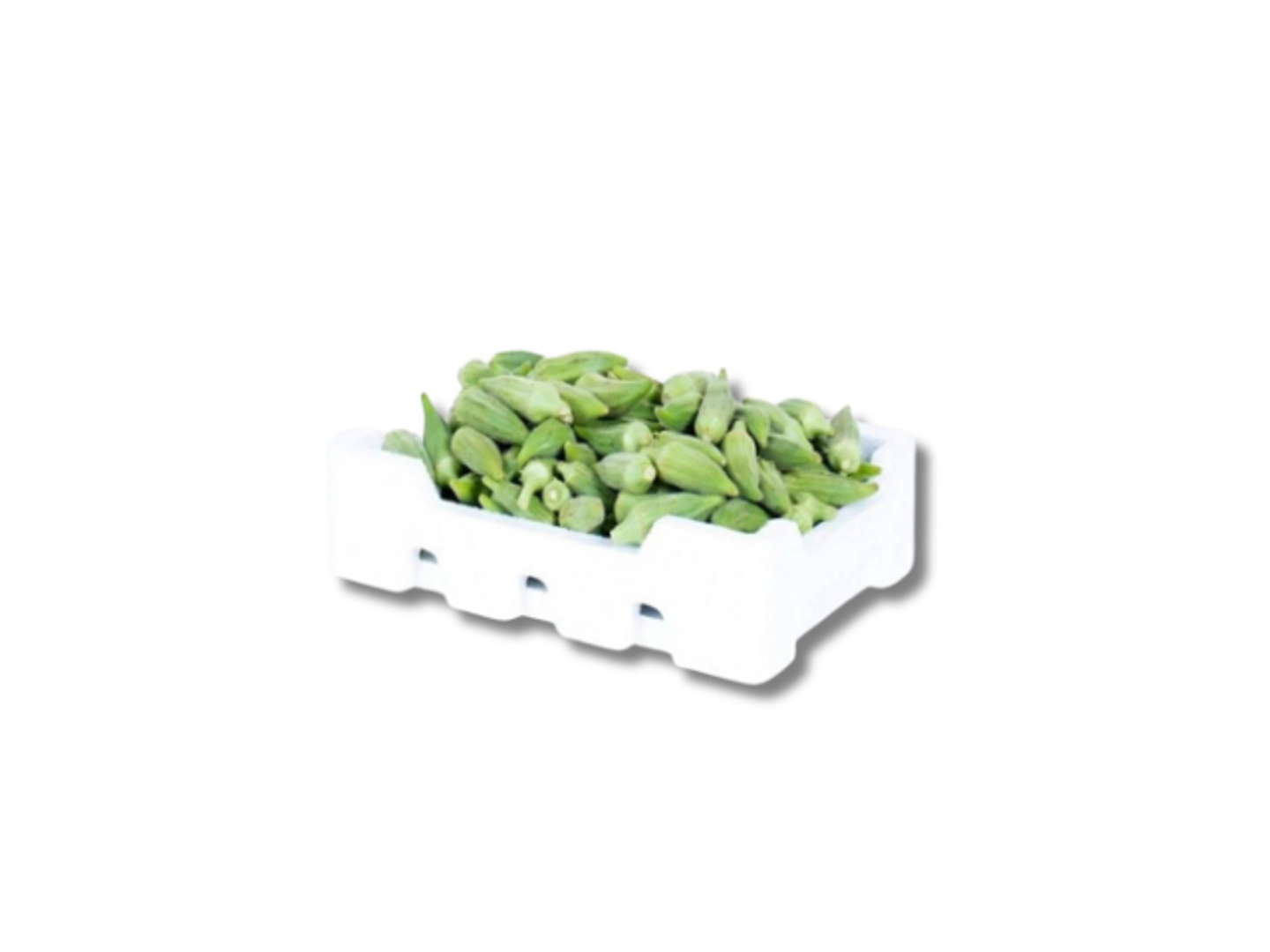 Okra Medium Box