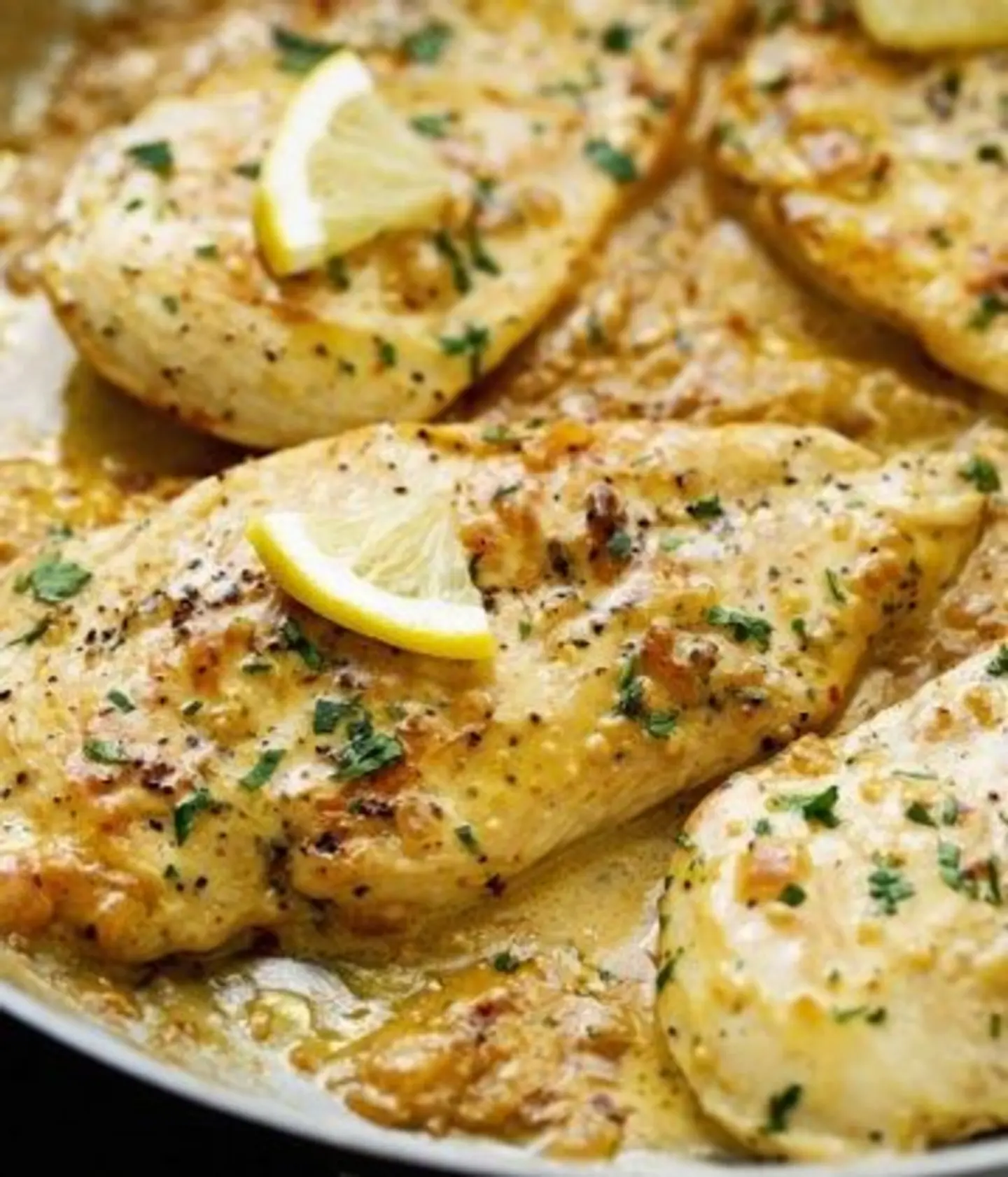 دجاج الزيتون الخاص