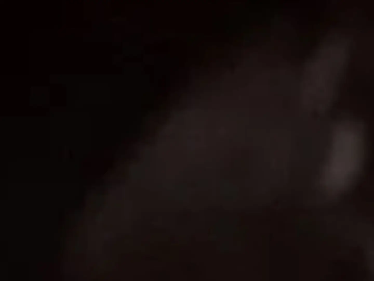 كلاسيك تشيكن