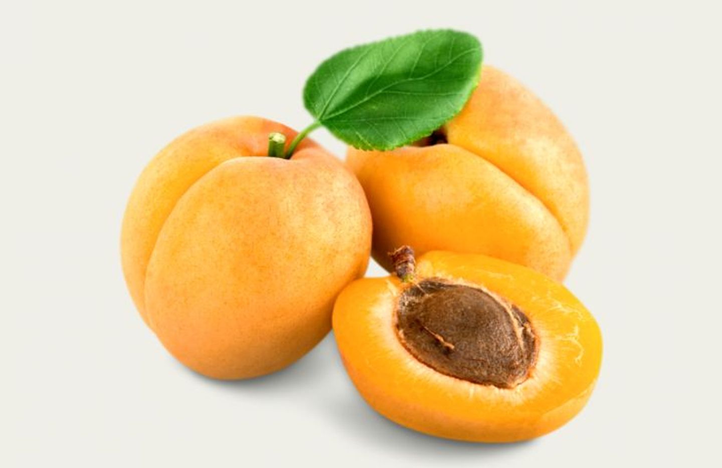 مشمش