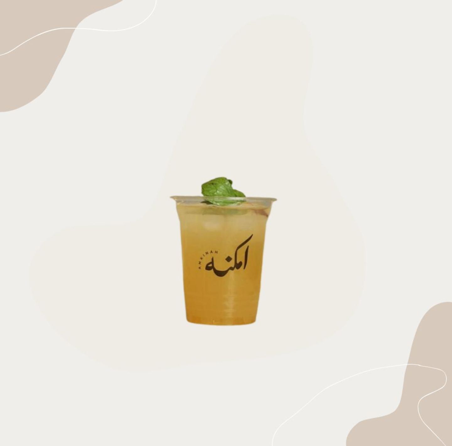 موهيتو باشن
