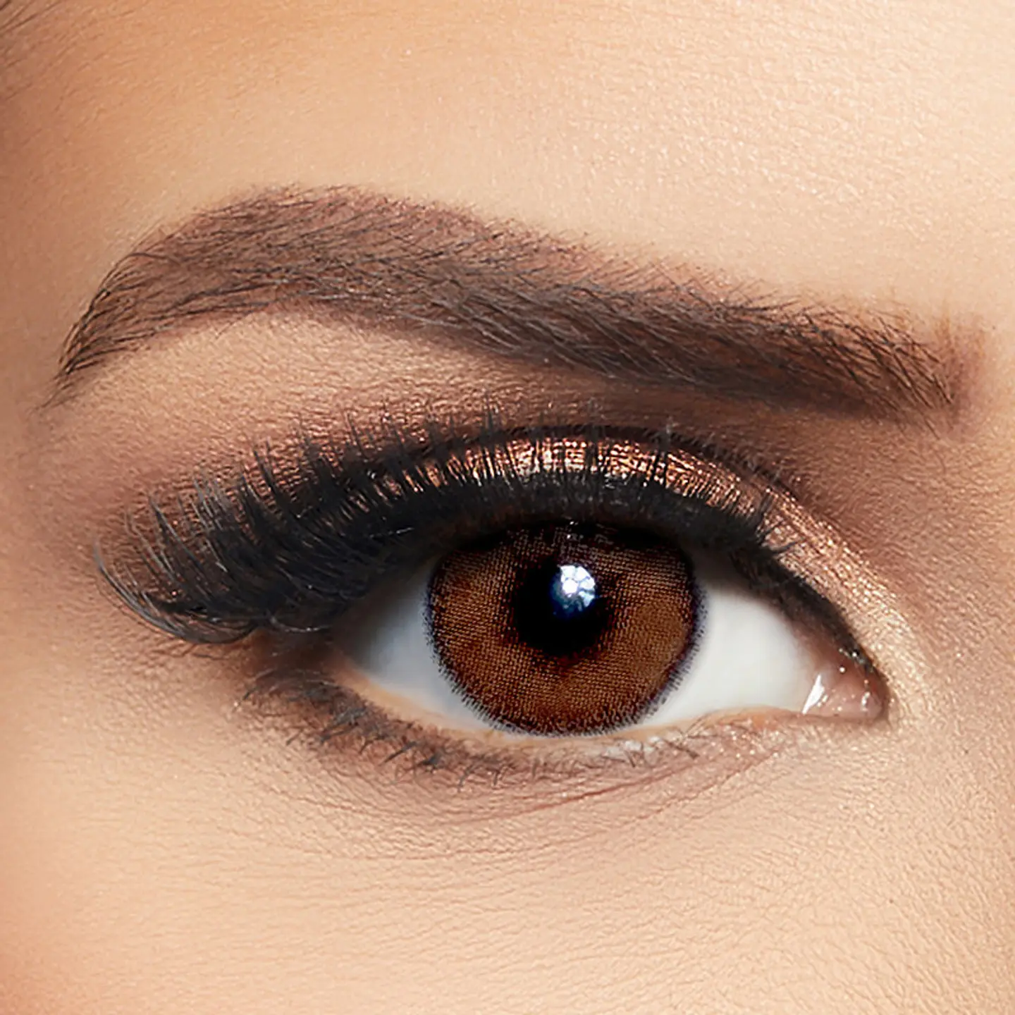 Avena Brown Colored Contact Lenses By Layala  Pack Of 2