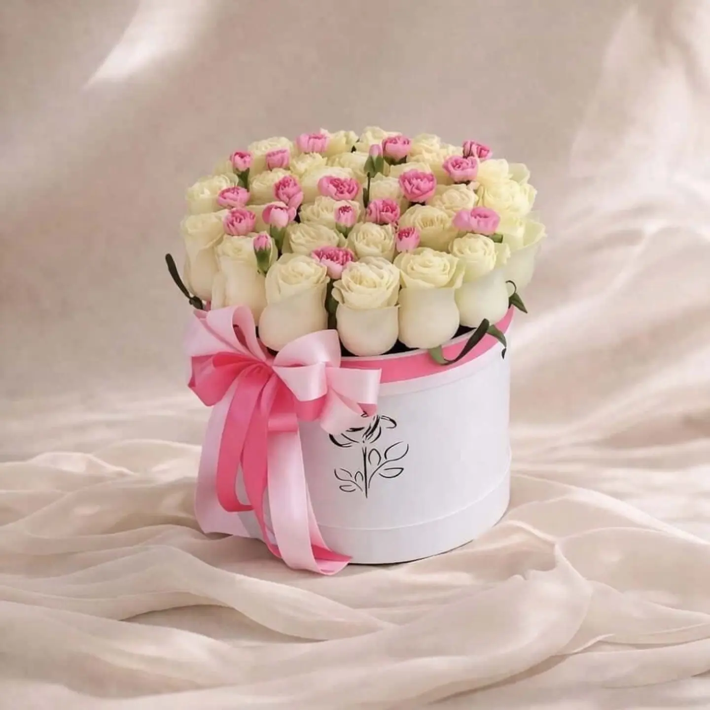 بوكس بـلانـشـا