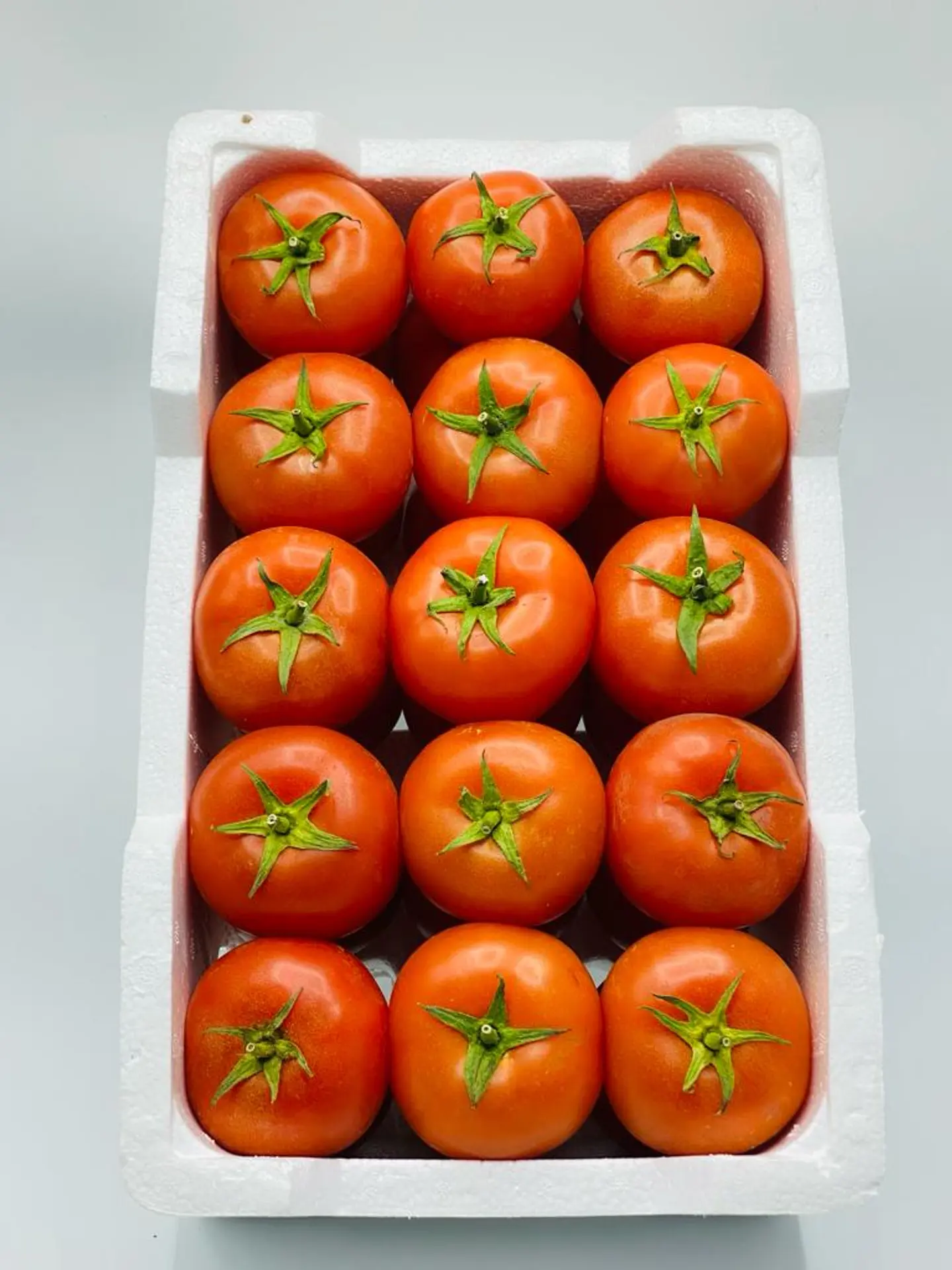 Large Cork Protected Tomatoes