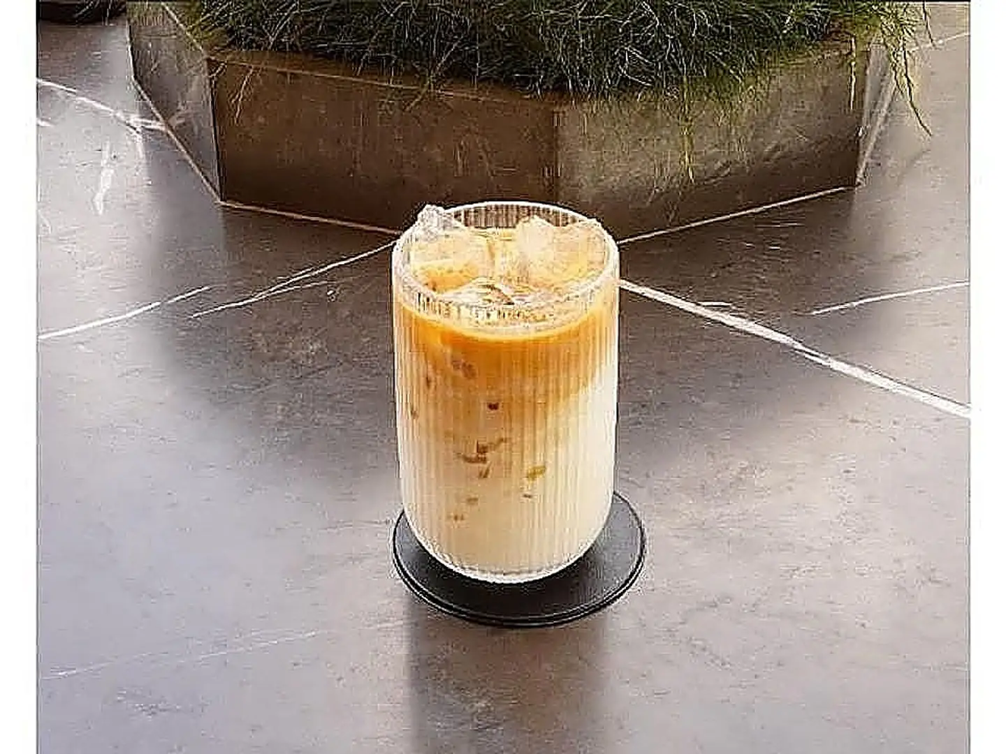 Iced Latte