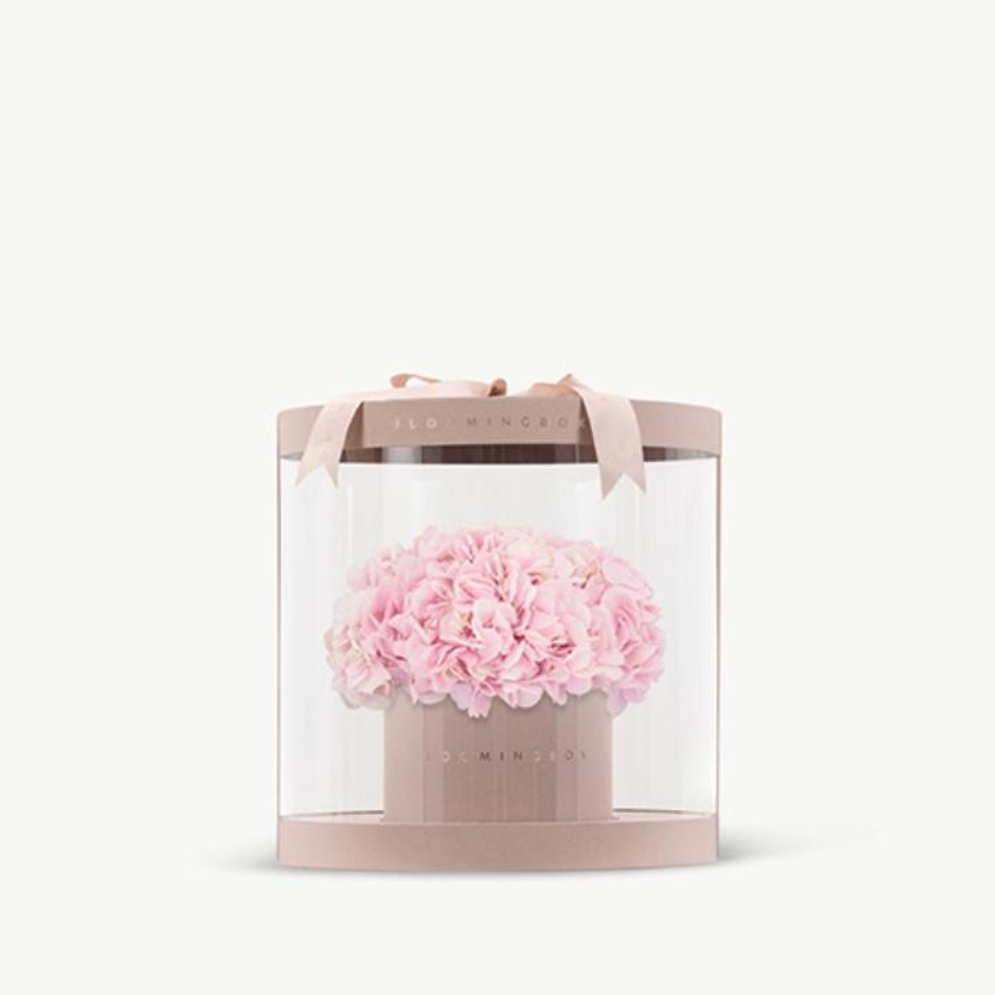 Premium Hydrangeas Box Medium