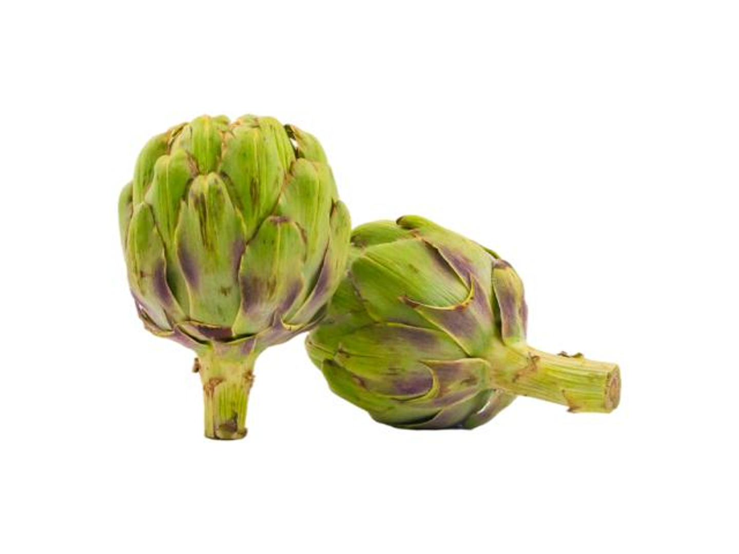 Artichoke Holland