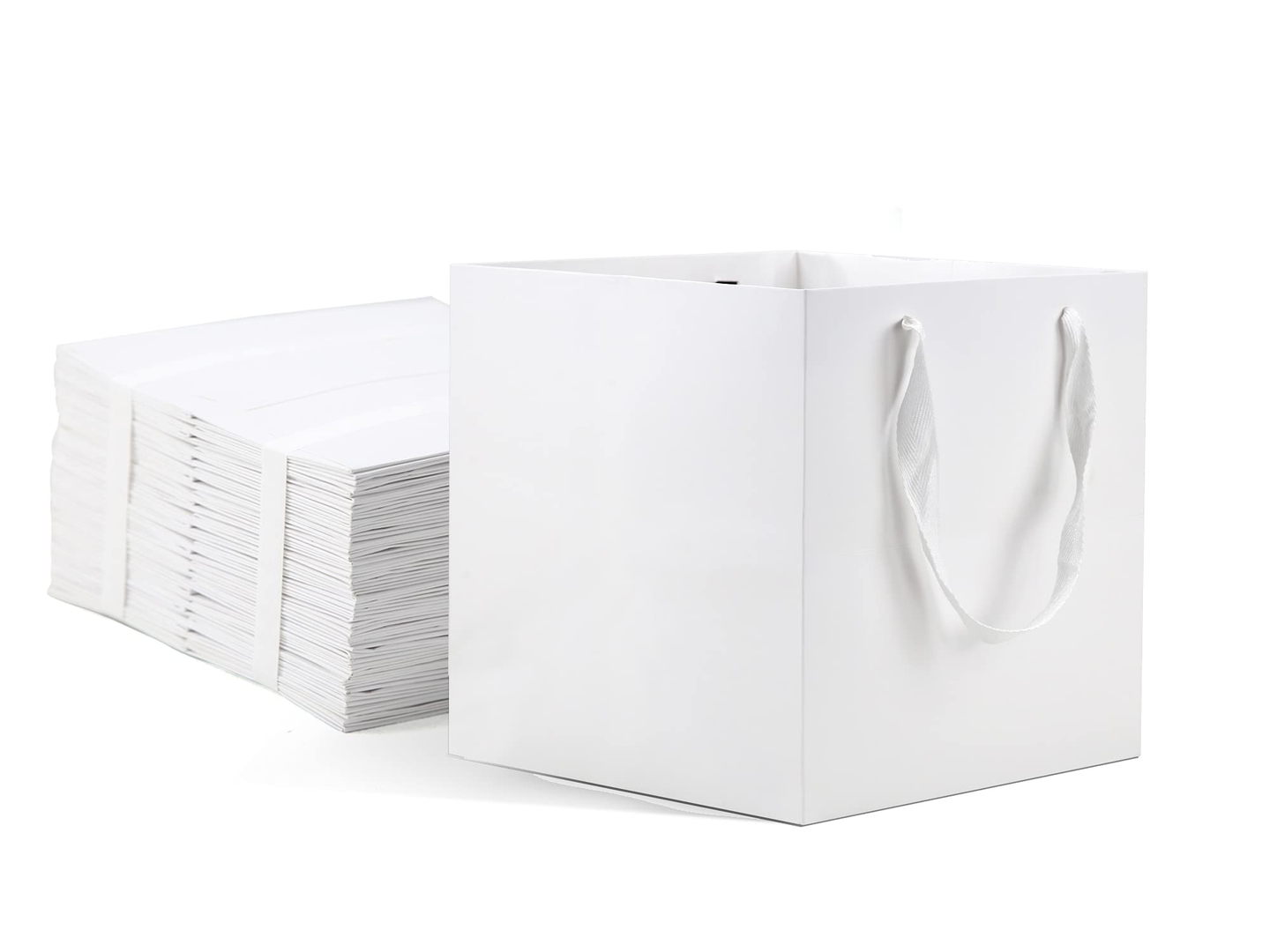 Gift Bag White Large 0170