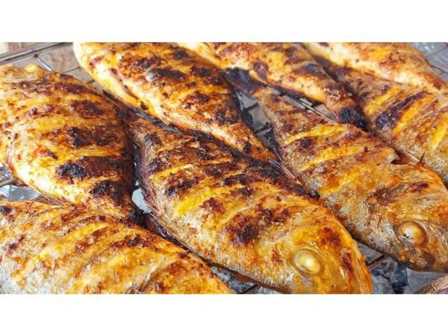 سمك الحريد المشوي علئ فحم السمر