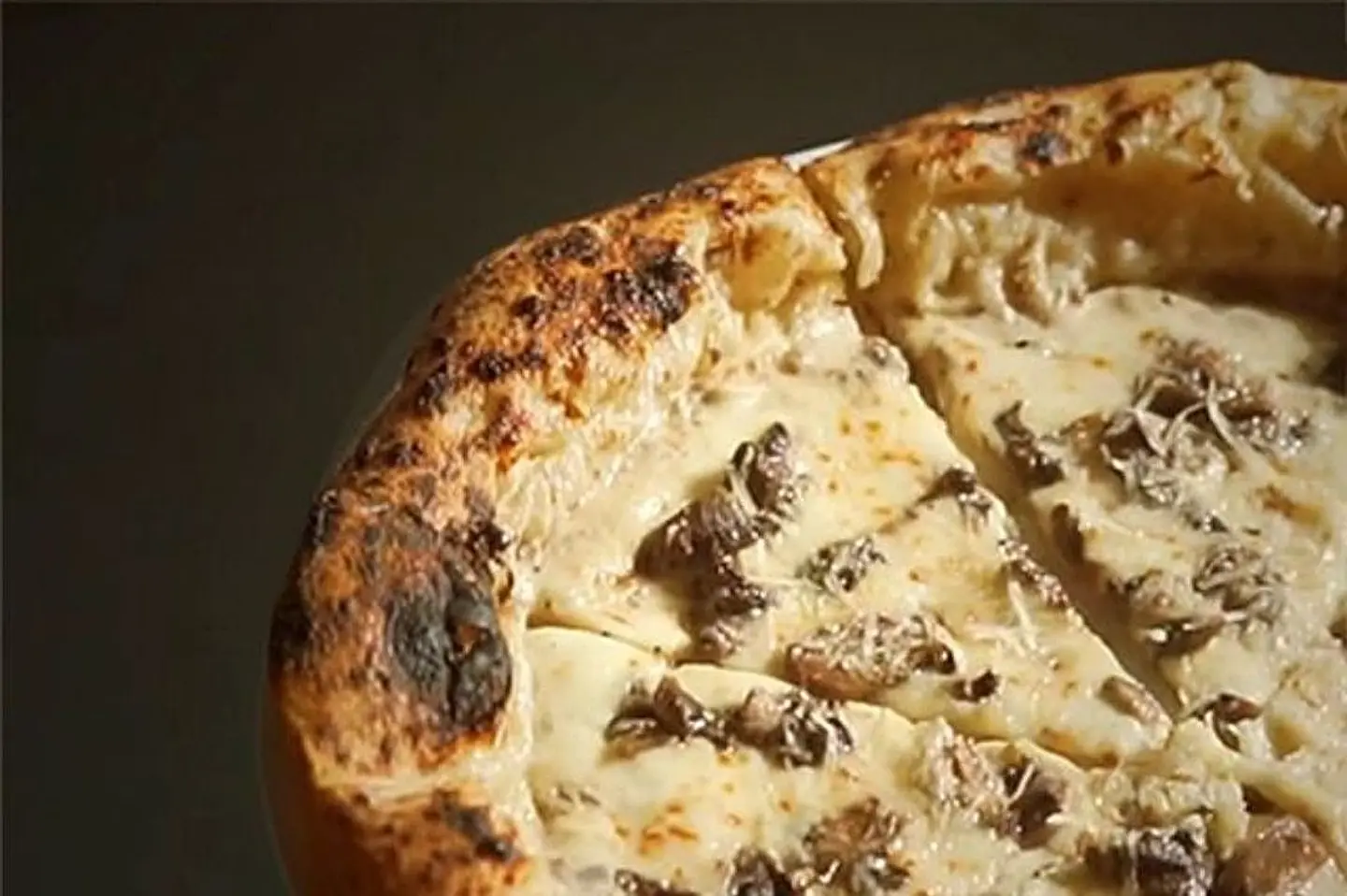 بيتزا ترافل