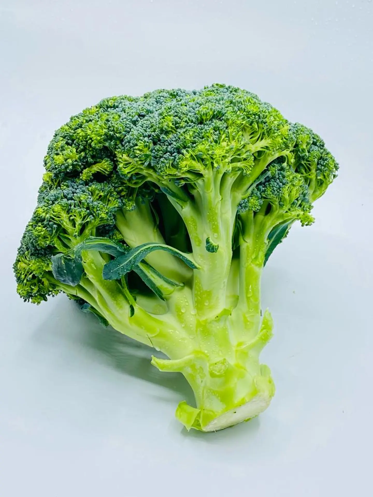 Broccoli 1000g