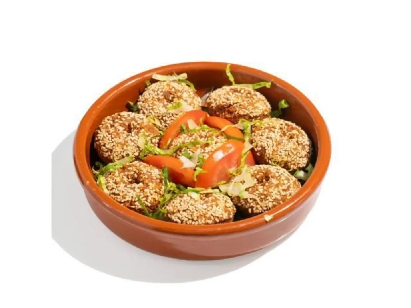 Falafel Plate