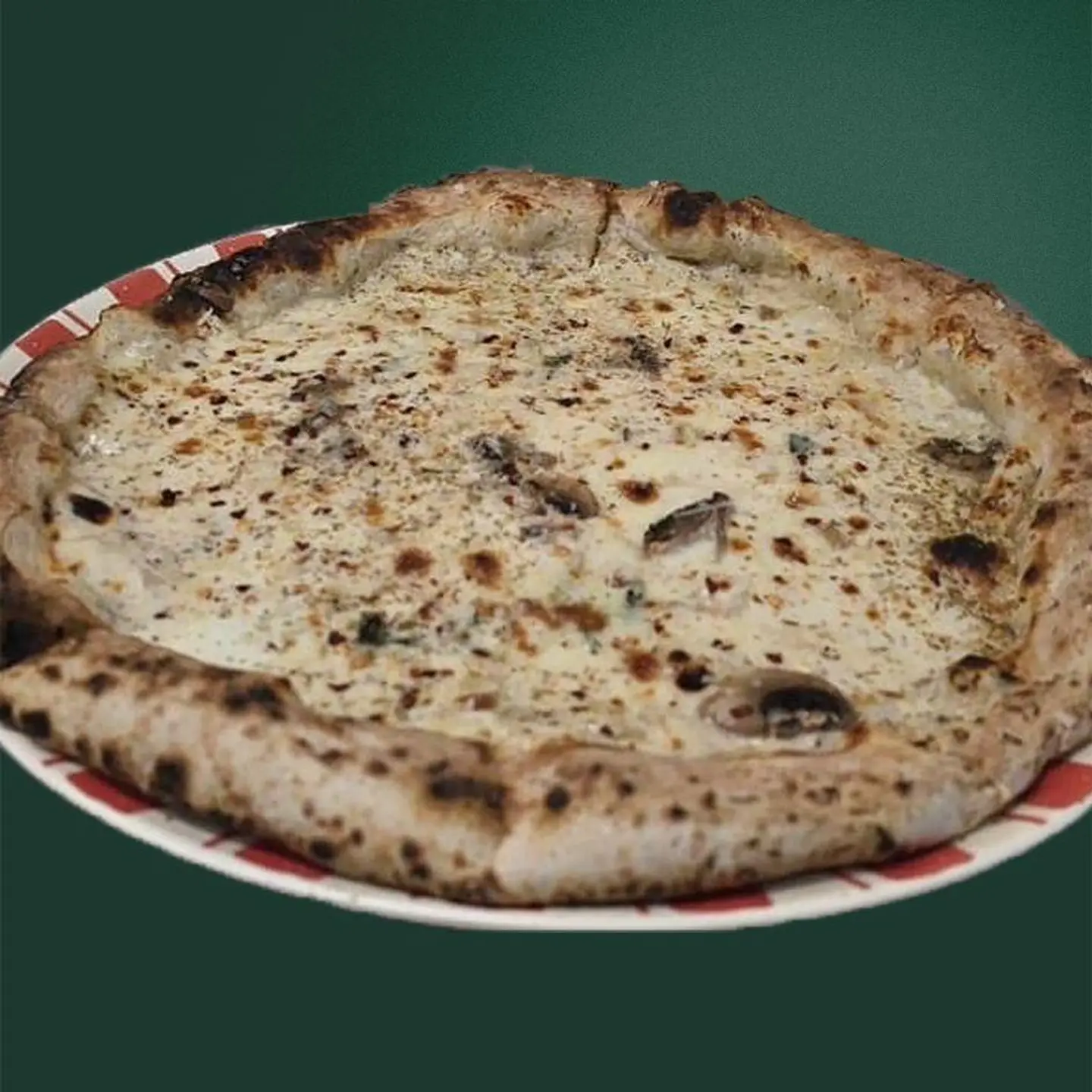 Neapolitan Truffle Pizza Large