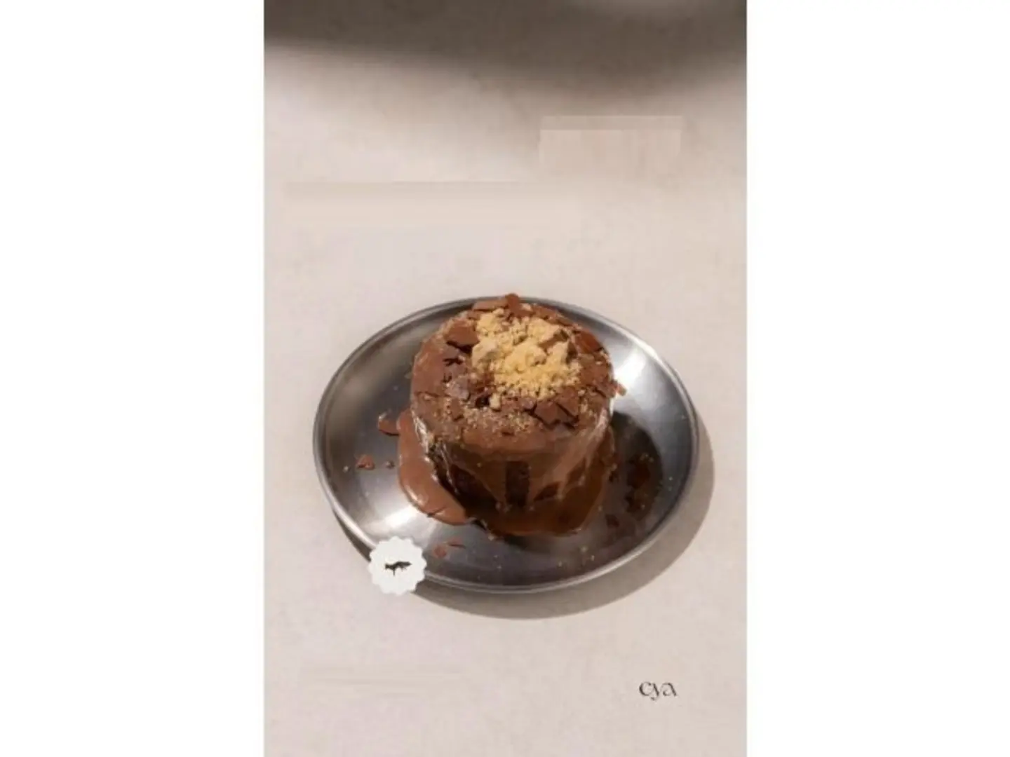 سيا سيجنتشر كيك