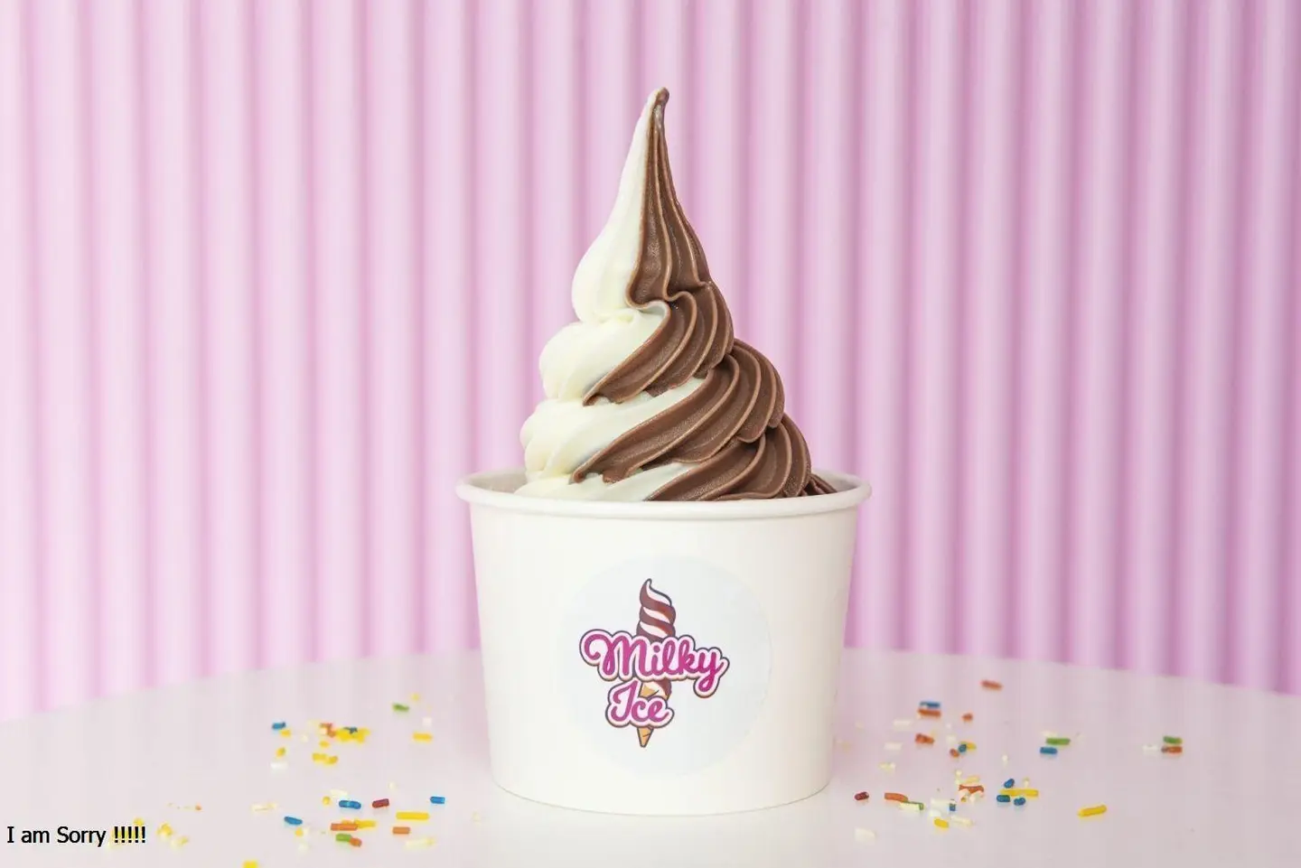 Regular Vanilla And Chocolate