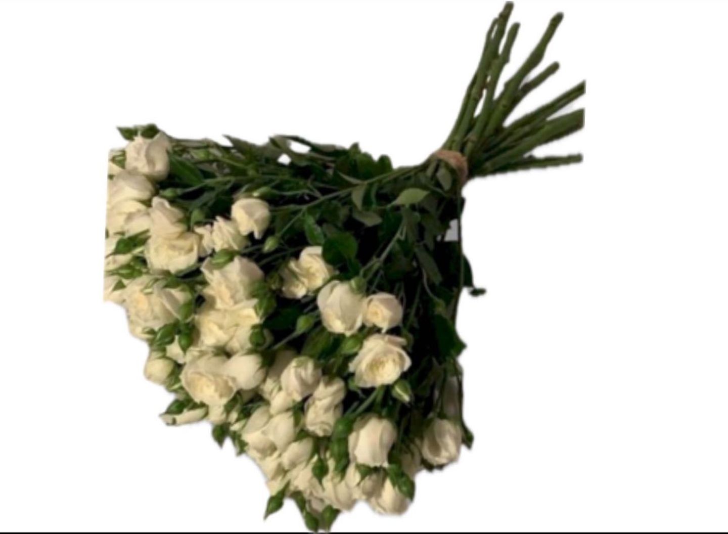 باقة عناق