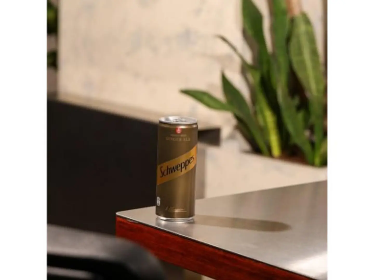 Schweppes Ginger
