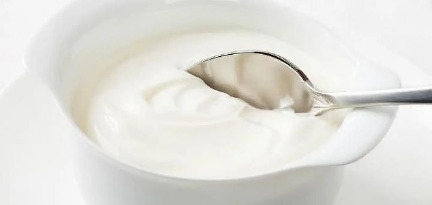 Plain Yogurt