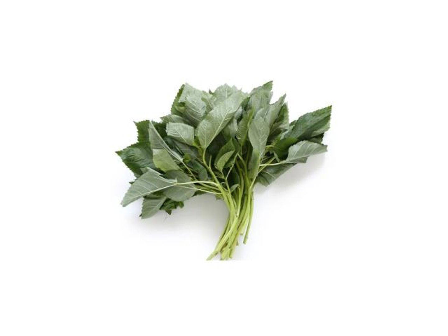 ملوخية