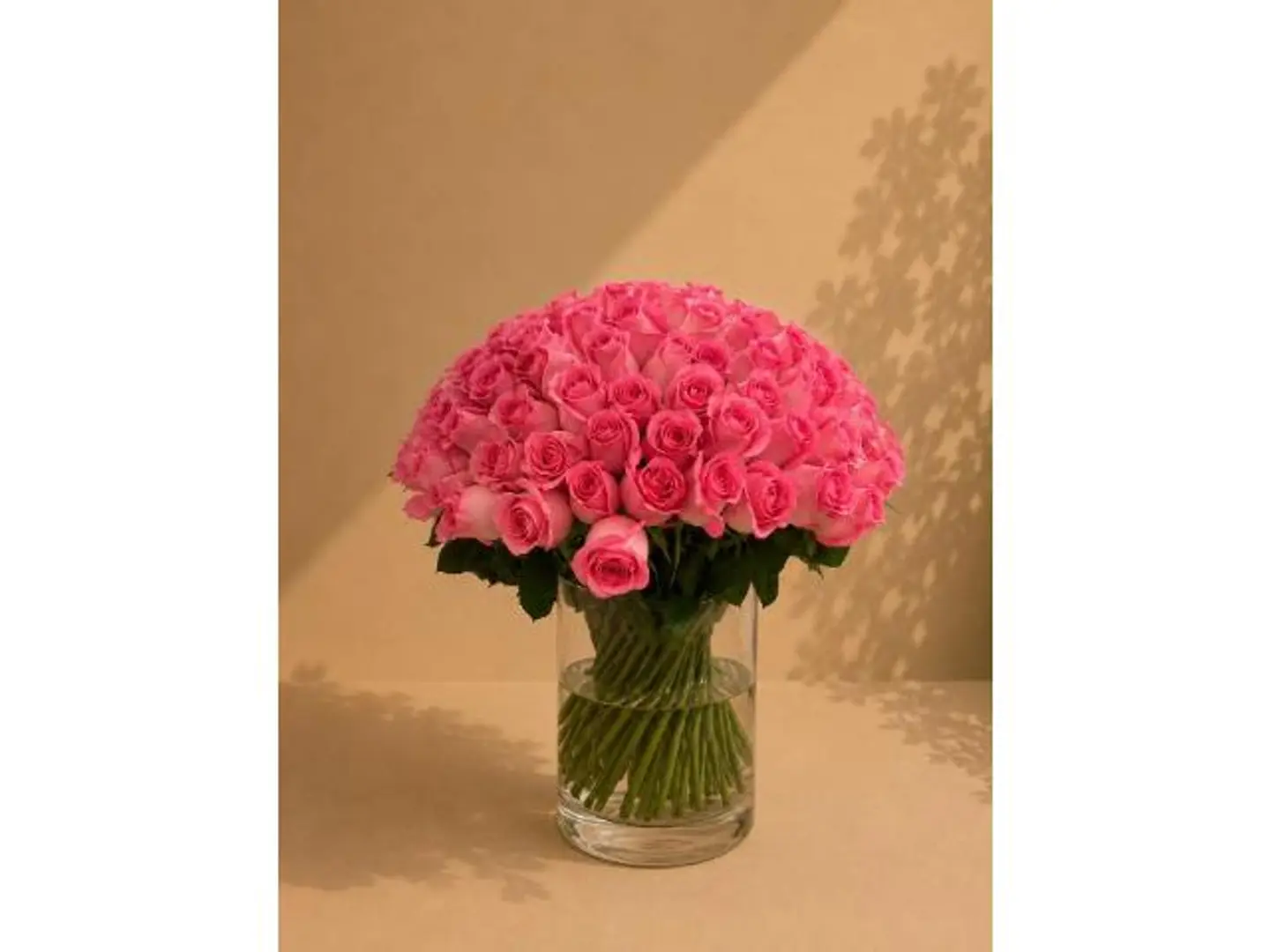Fabulous Pink Lady