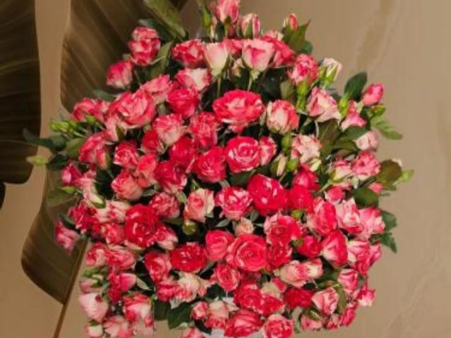 Vase When I See You My Heart Throbs With Deep Emotions And Utters Your Name My Love