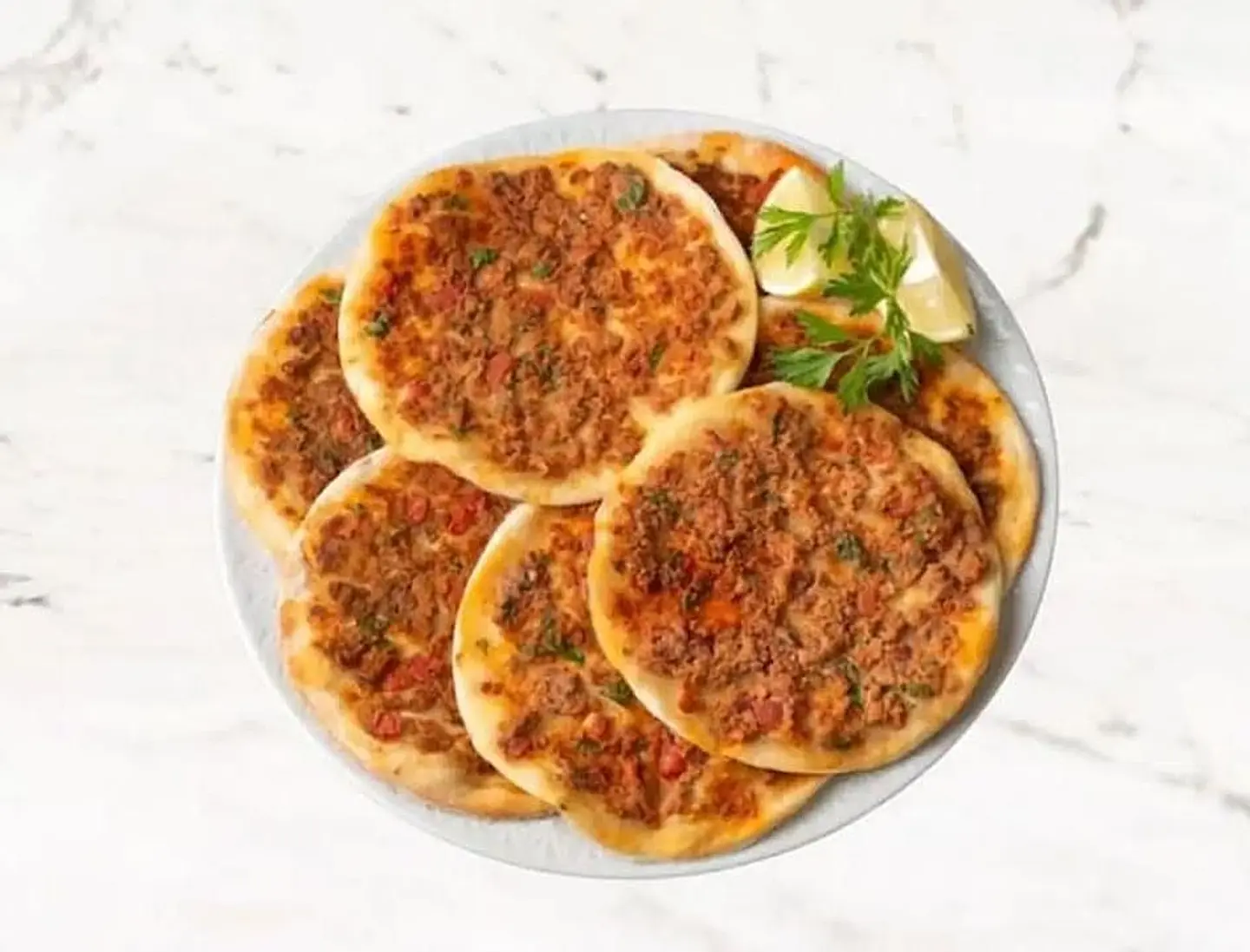 صفايح شامية دجاج