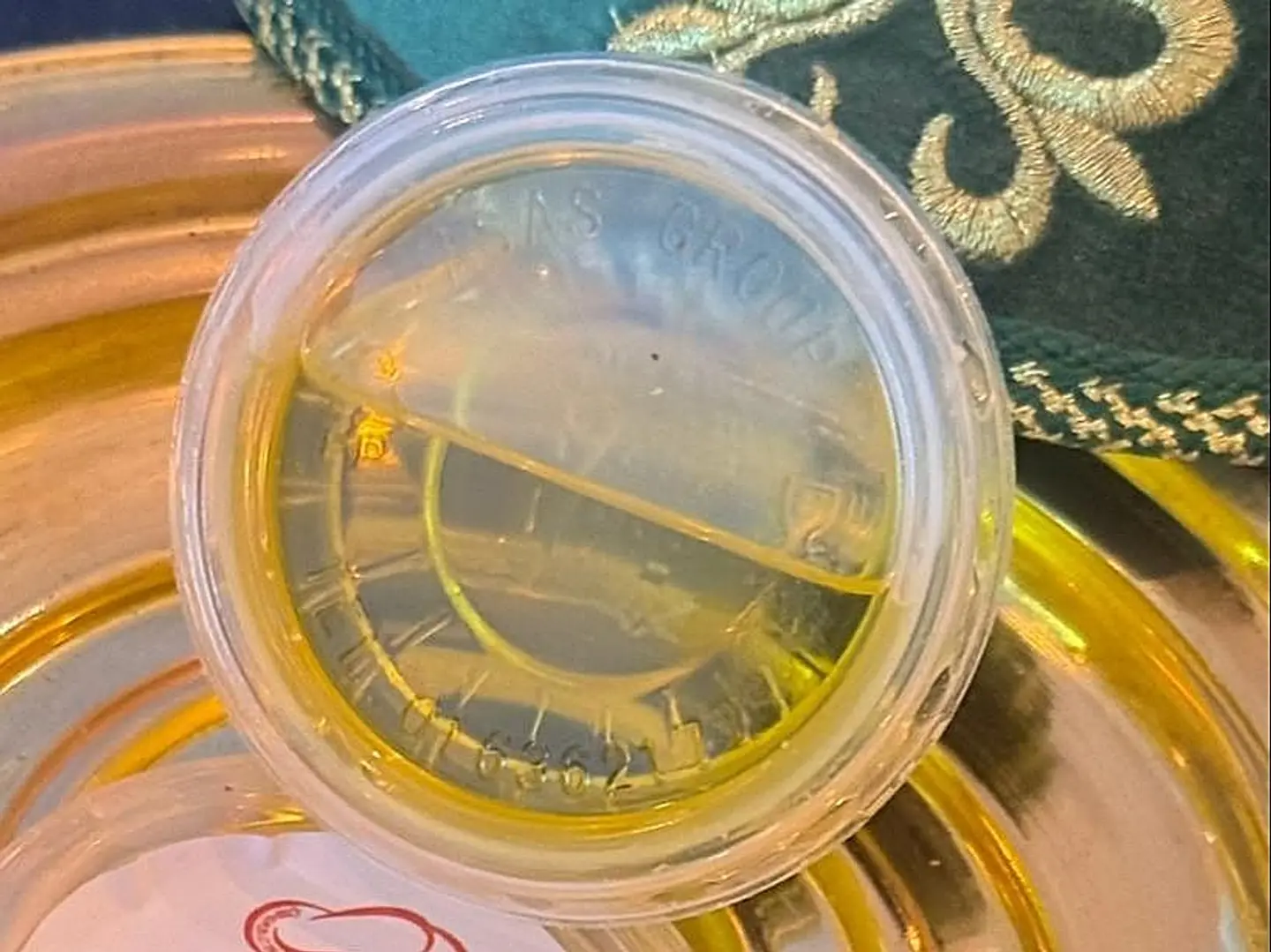 زيت الزيتون