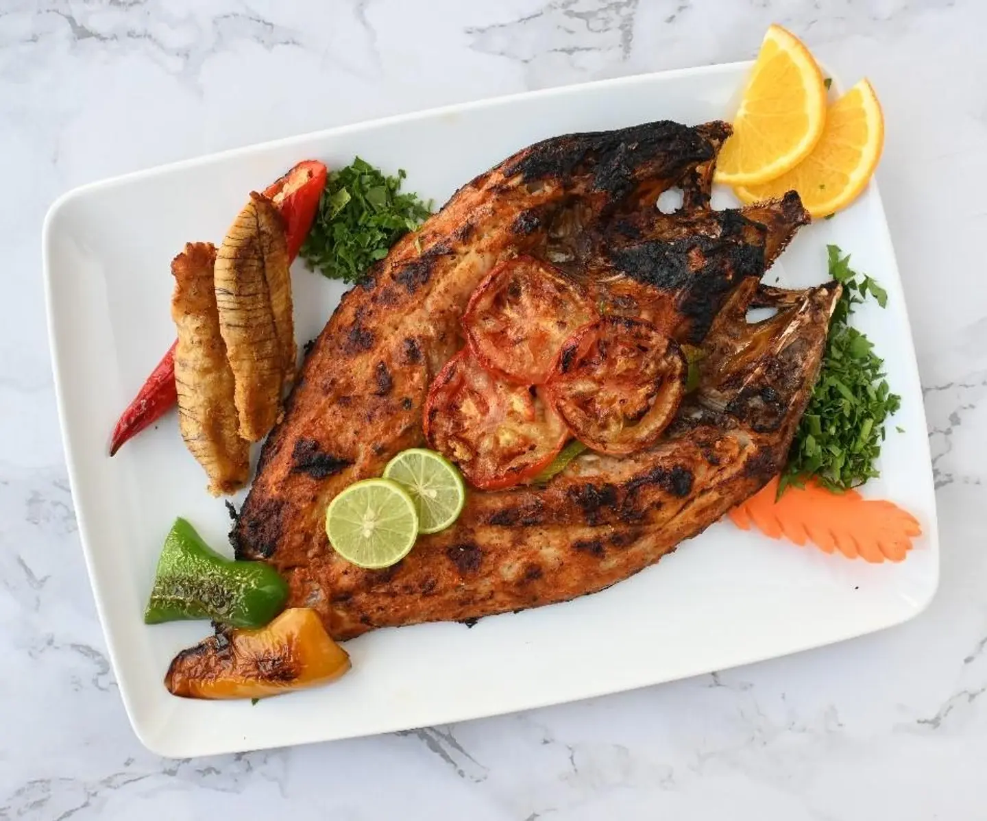 Singar Hamour Fish
