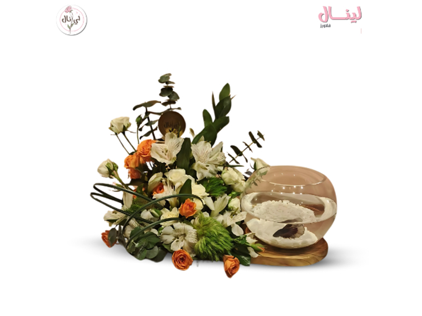 تنسيق حوض السمك 1