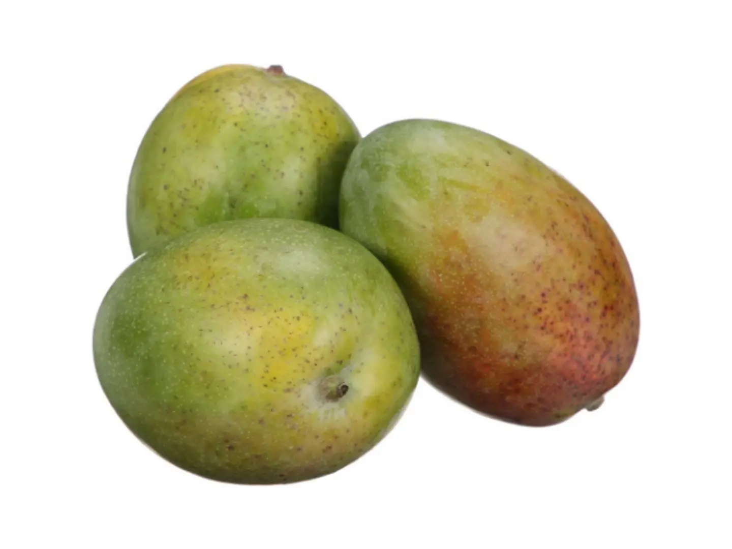 مانجو مصري - جرام 500