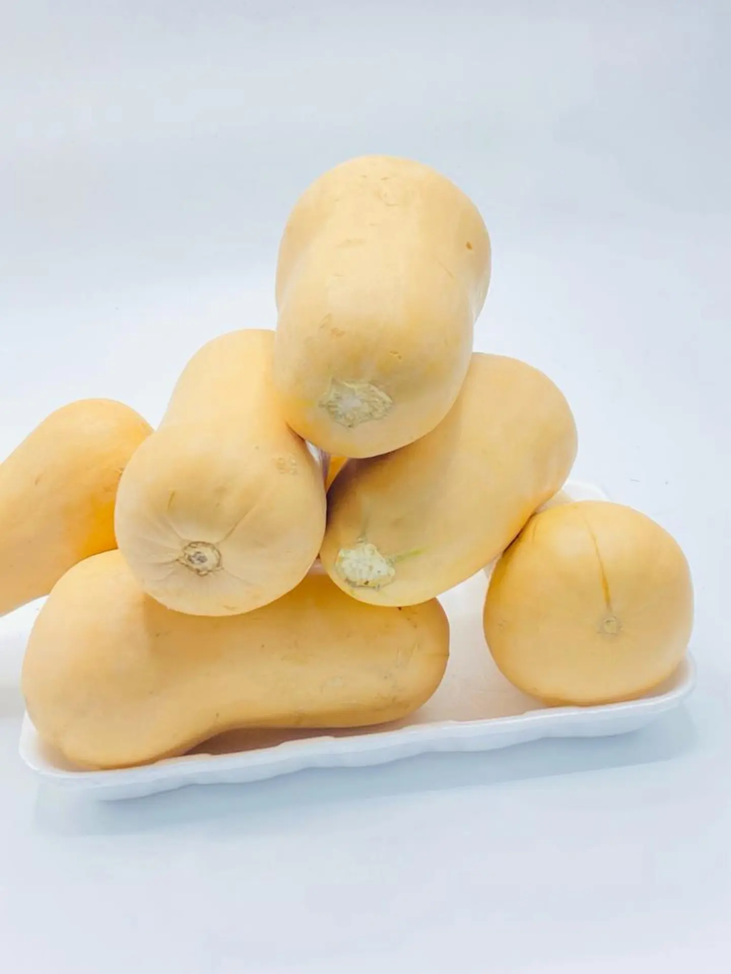 American Squash 1000g