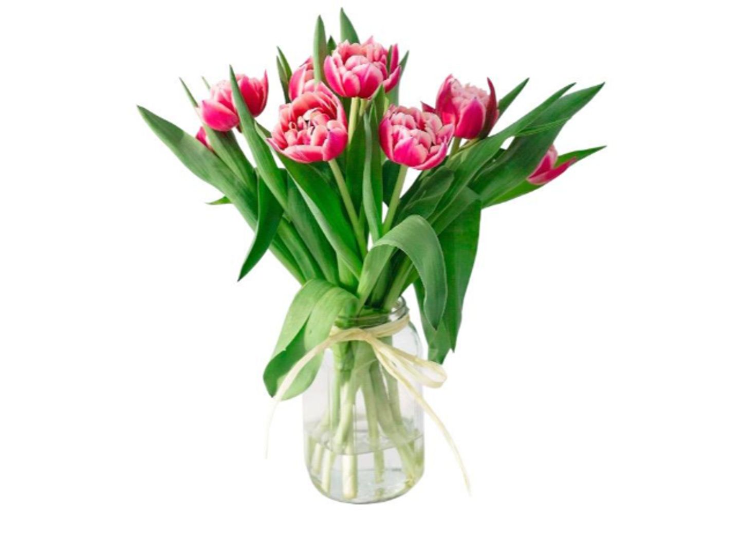 Tulip Vase