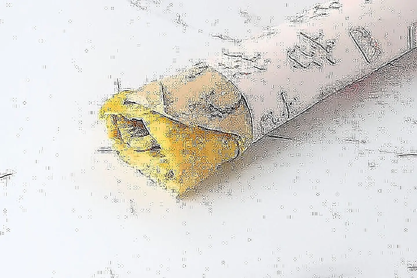 ساندوتش صاروخ بيض