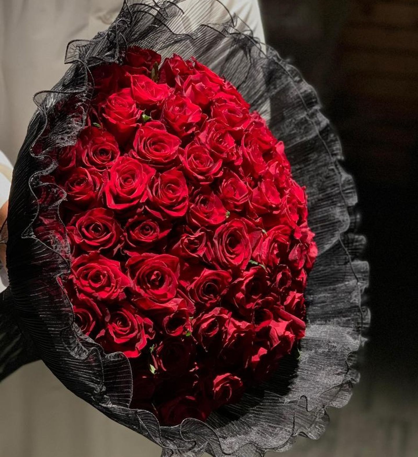 Red Roses 3