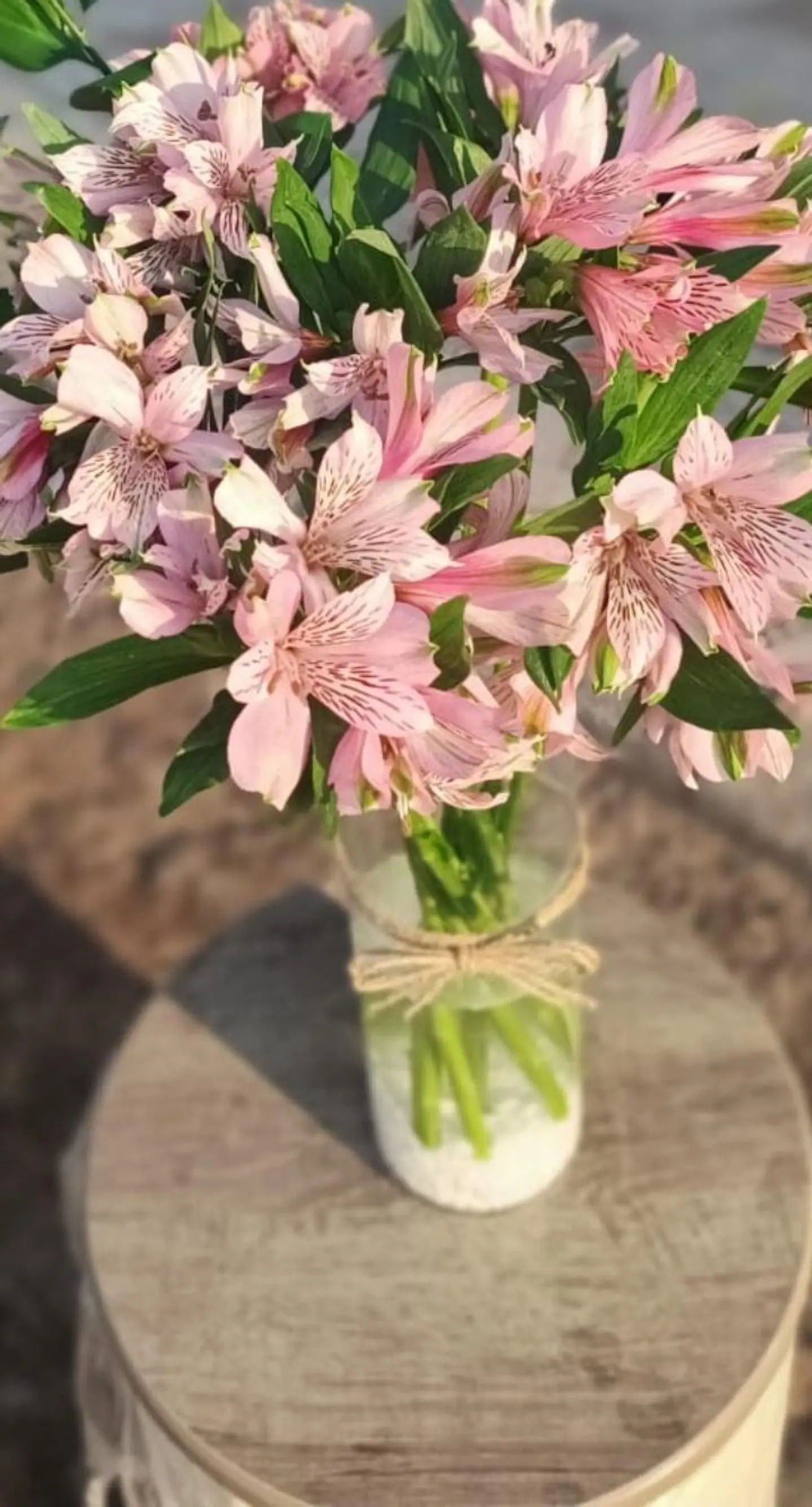 Alstomeria Vase