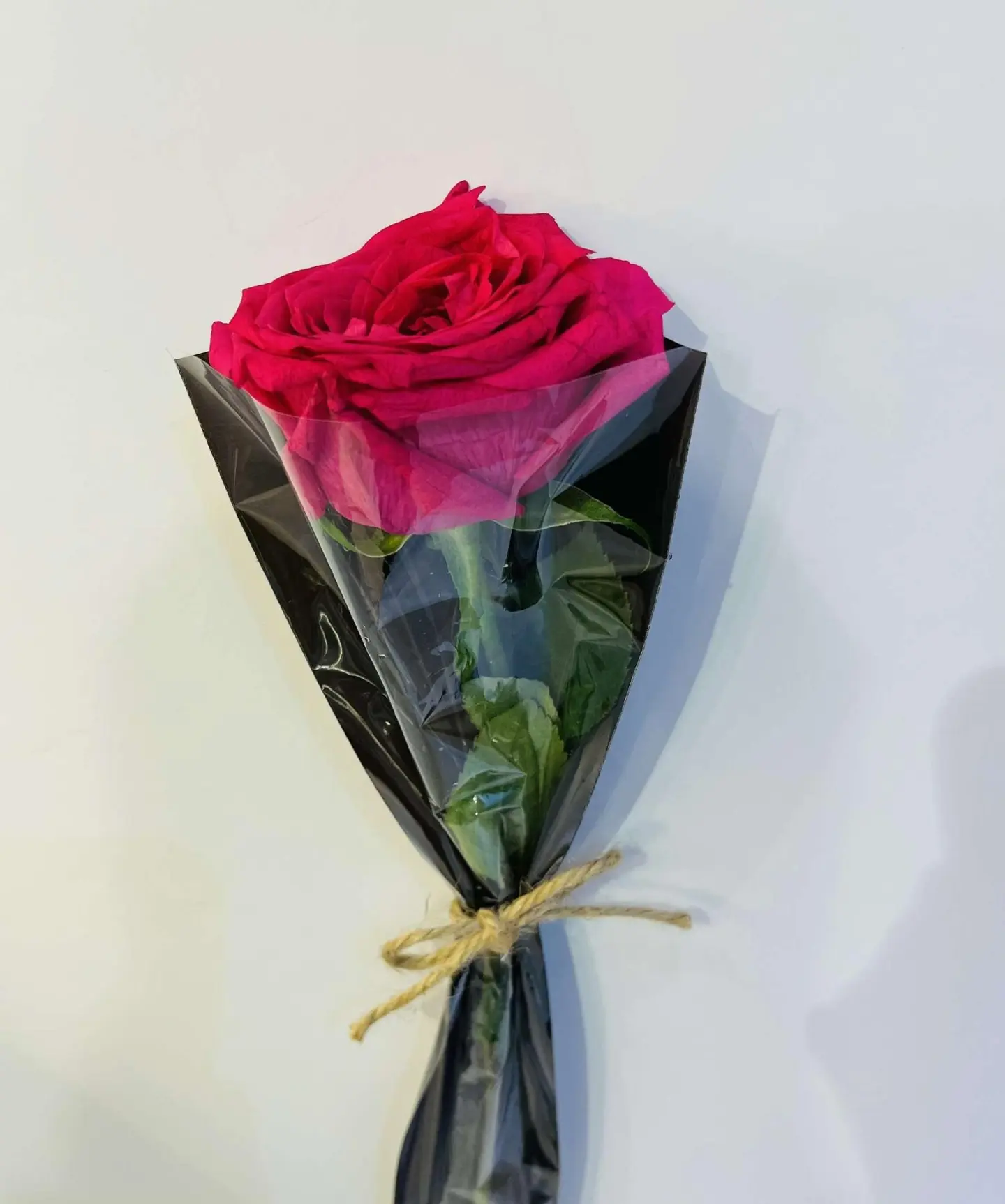 وردة جوري - فوشي