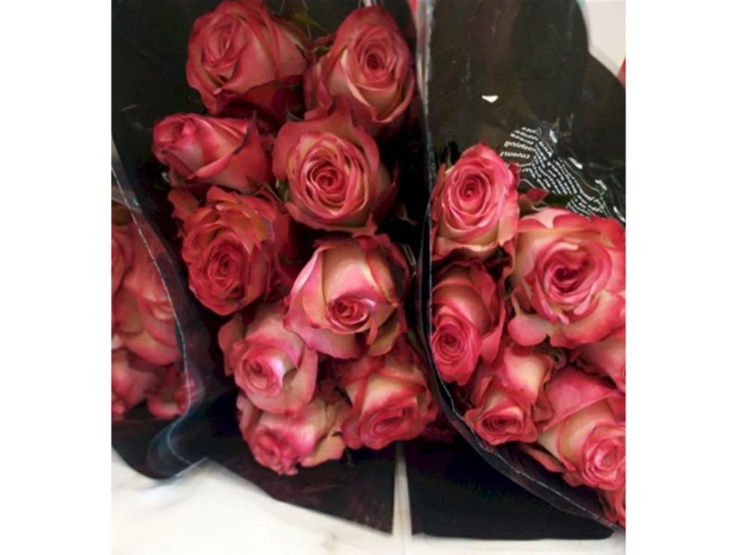 Double Colored Roses Without Packaging