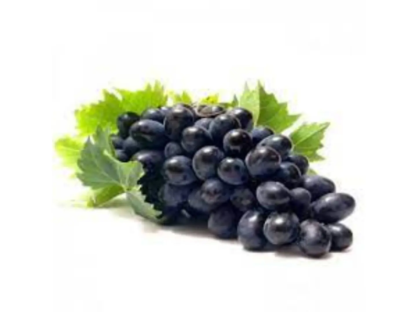 عنب اسود - جرام 500