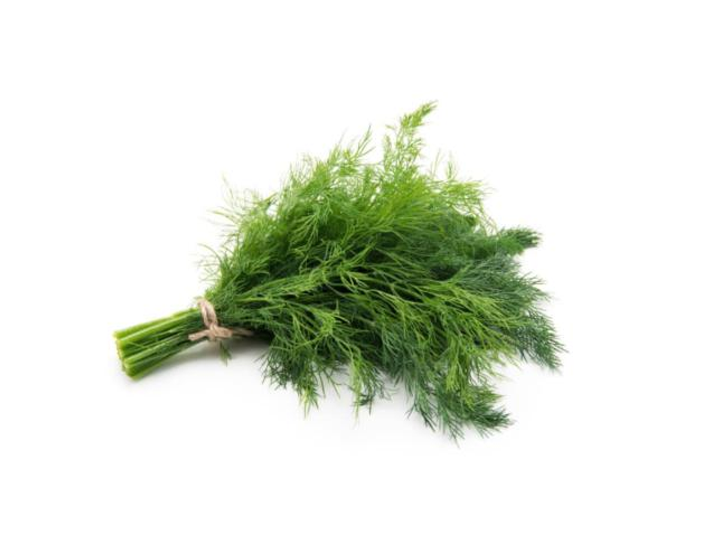 Dill