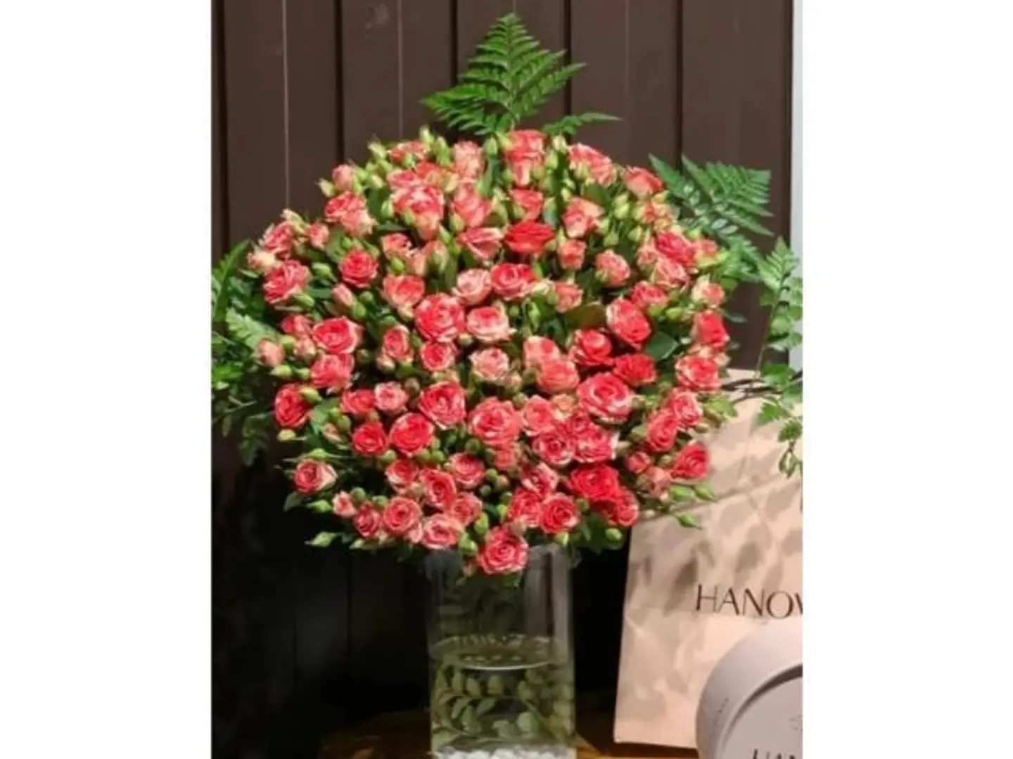 فازه ورد ١٦