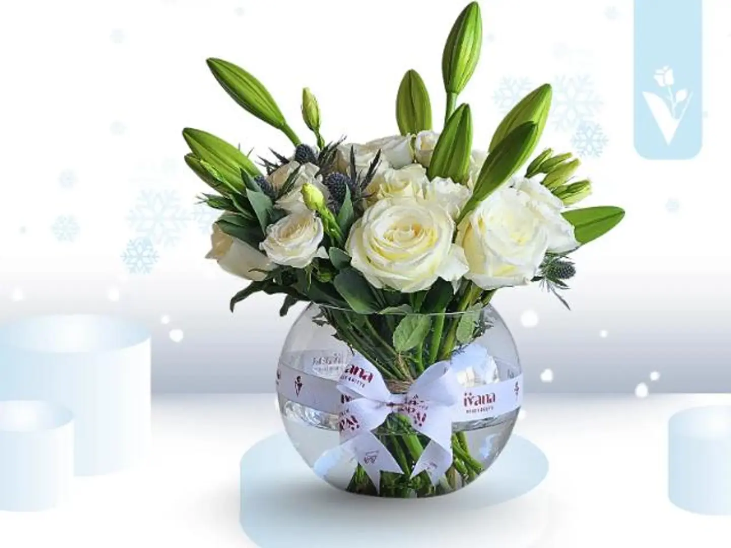 فازة ورد الشتاء