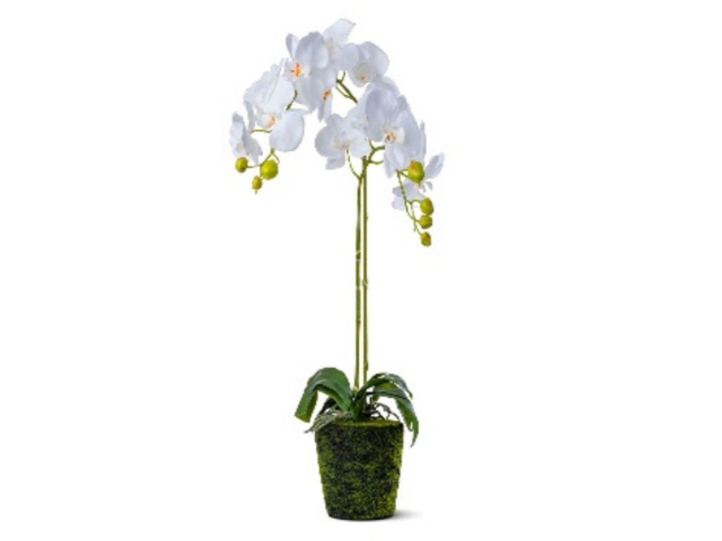 Artificial Orchid Realtouch White