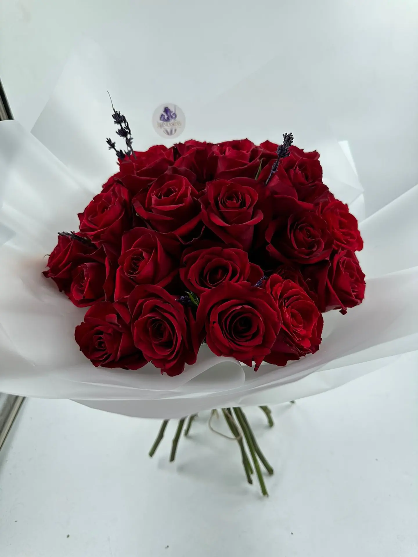 Lavender Rose