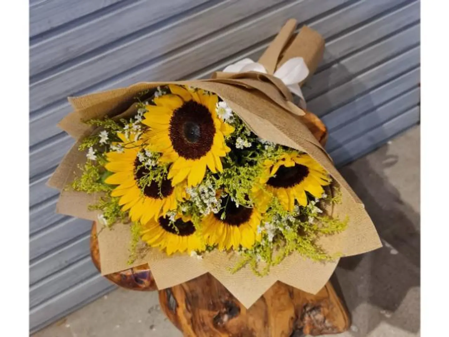 باقة الاشراق