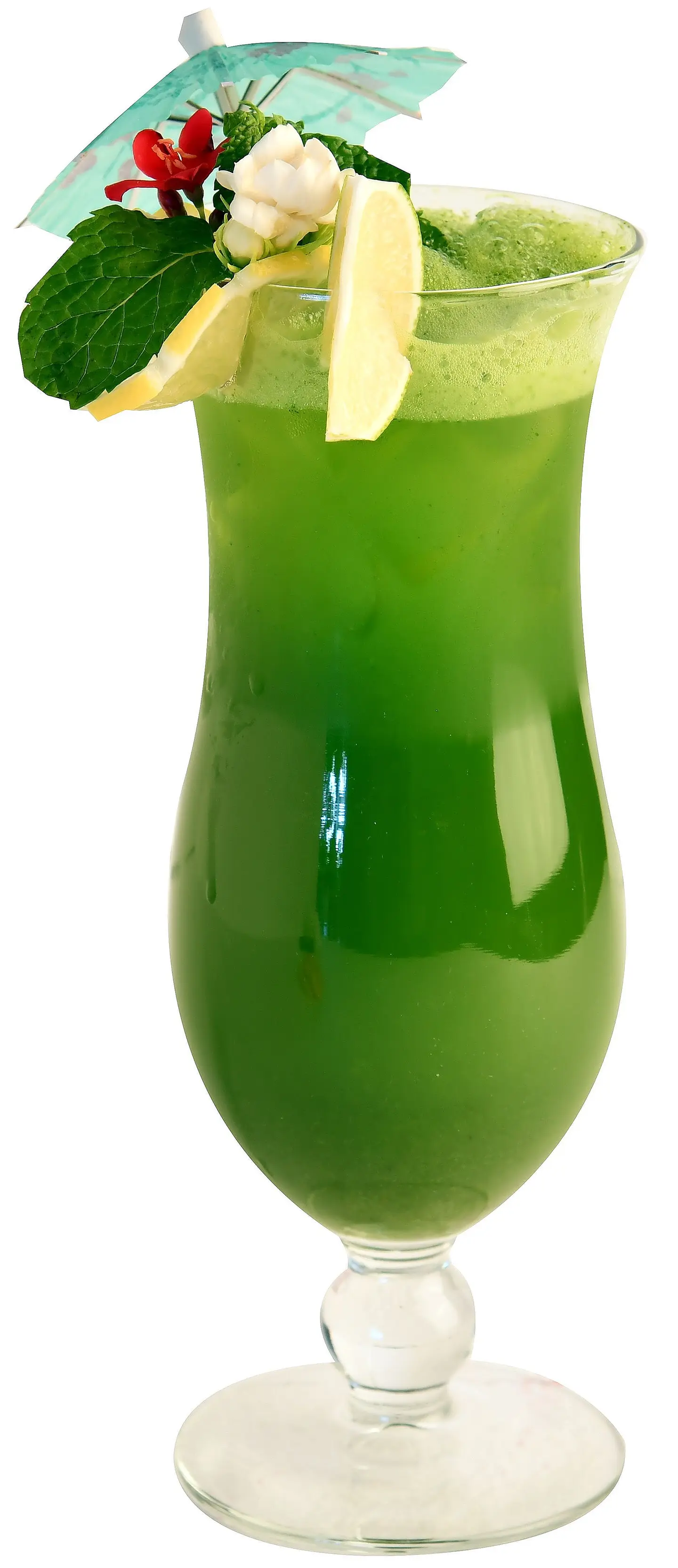 Lemon Mint Mojito