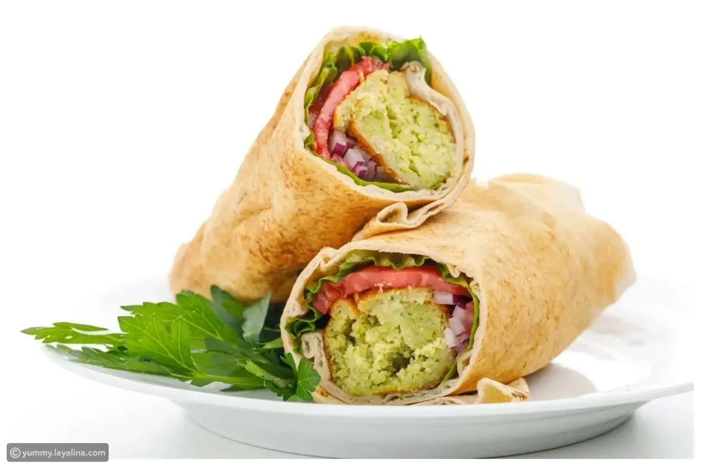 Lebanese Falafel Sandwich