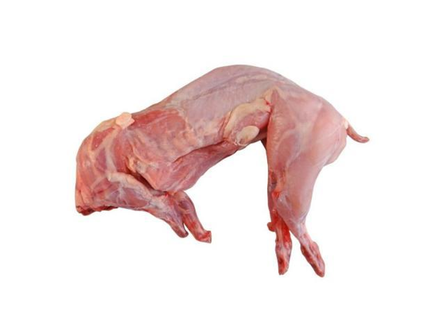 ارنب بلدي طازج 1حبة