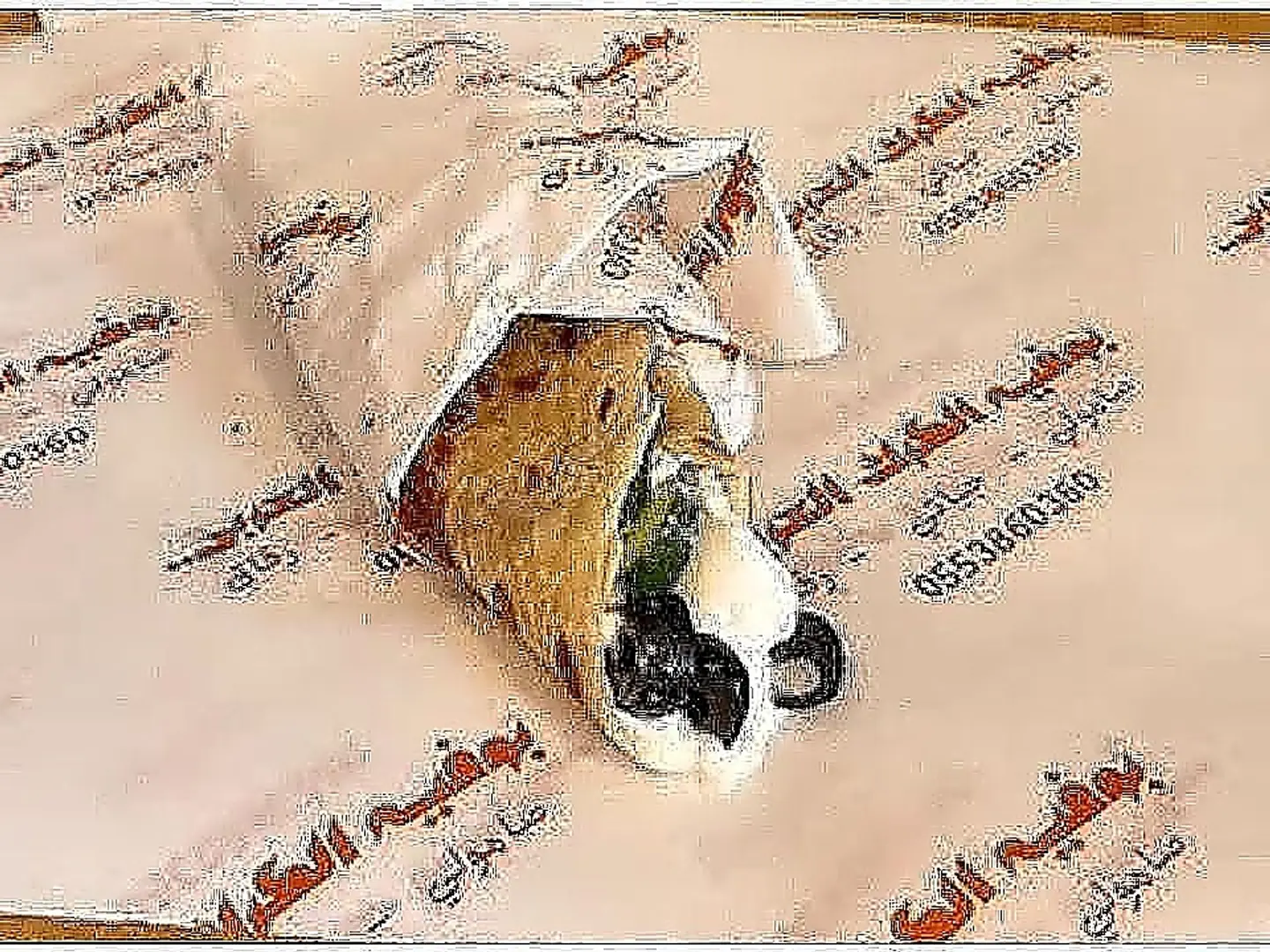 جباتي لبنة مشكل