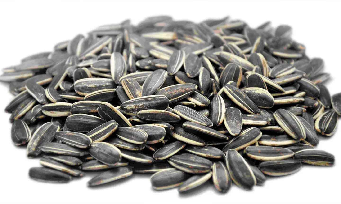 Sunflower Seeds